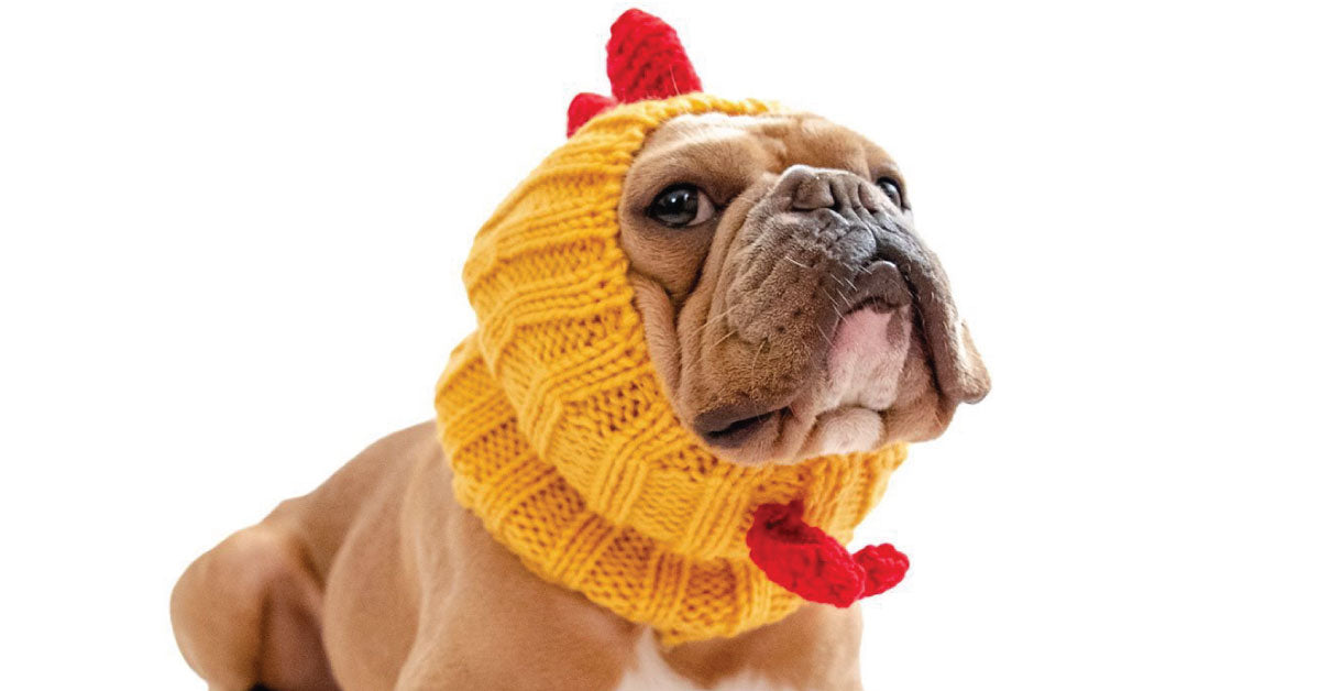 Rooster Snood - The Perfect Dog Snood For Small, Medium And Large Dogs ...