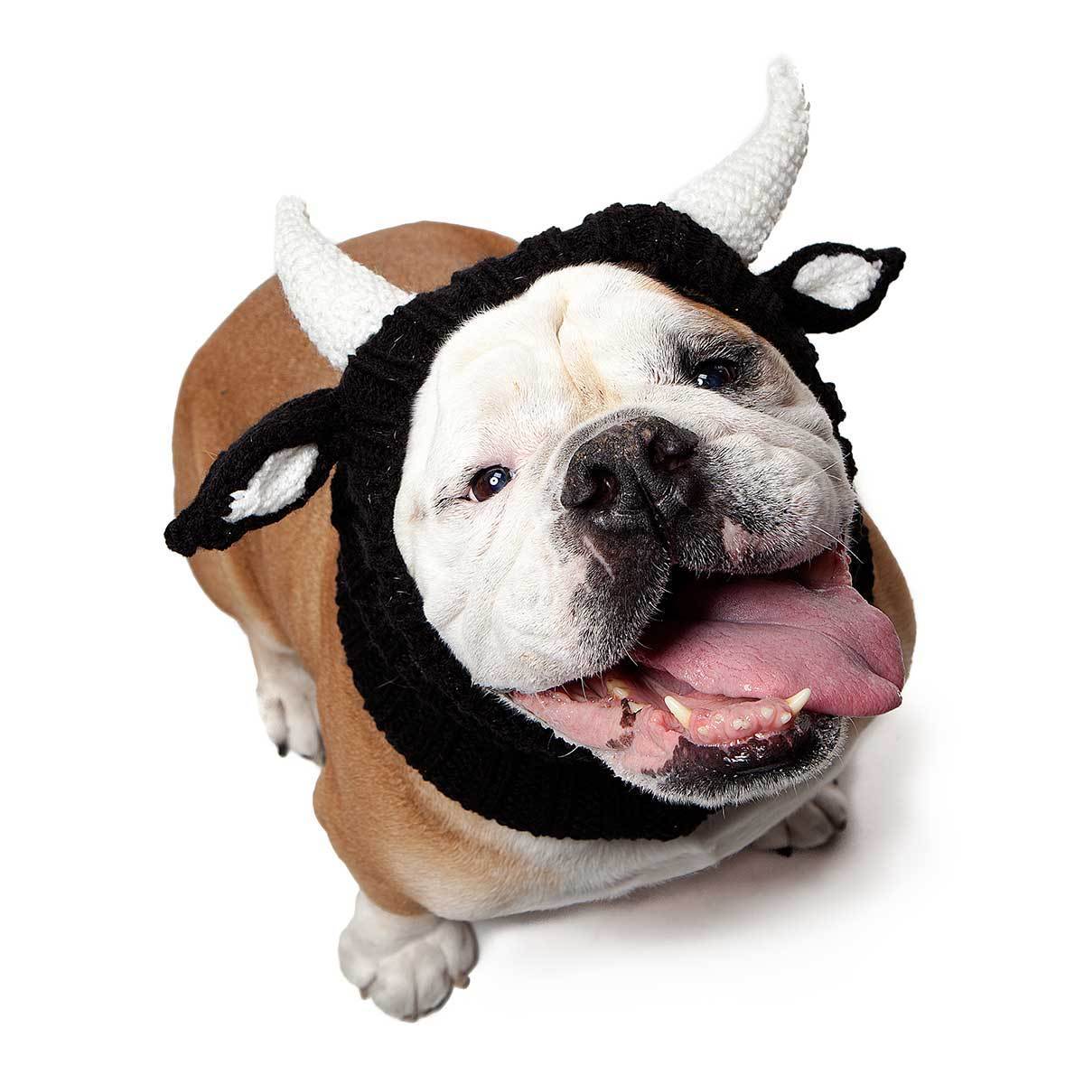 Bull Snood - The Perfect Dog Snood for Small, Medium and Large Dogs – Zoo  Snoods