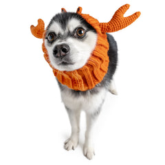 Crab Zoo Snood