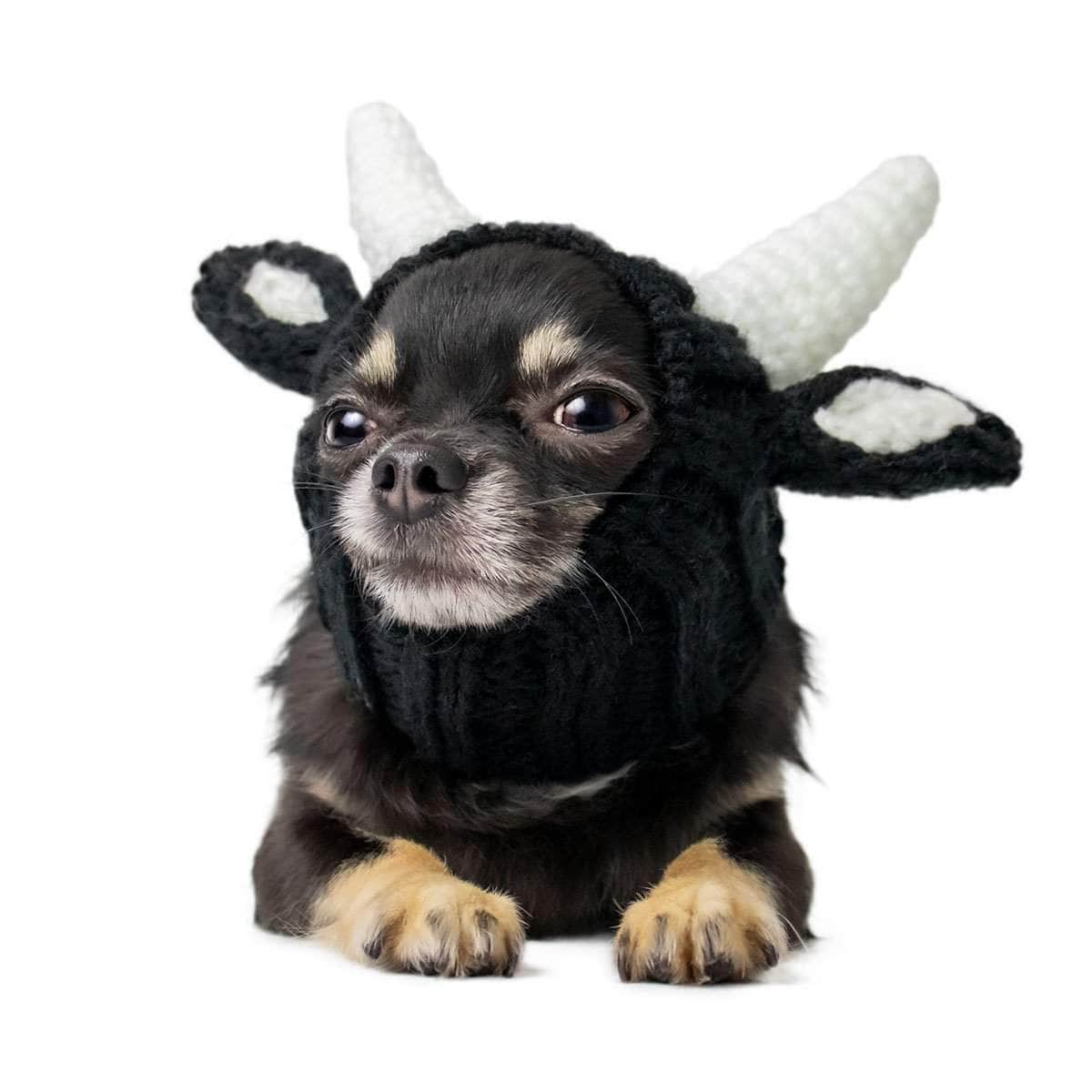 Horn Dog' Dog Sweater