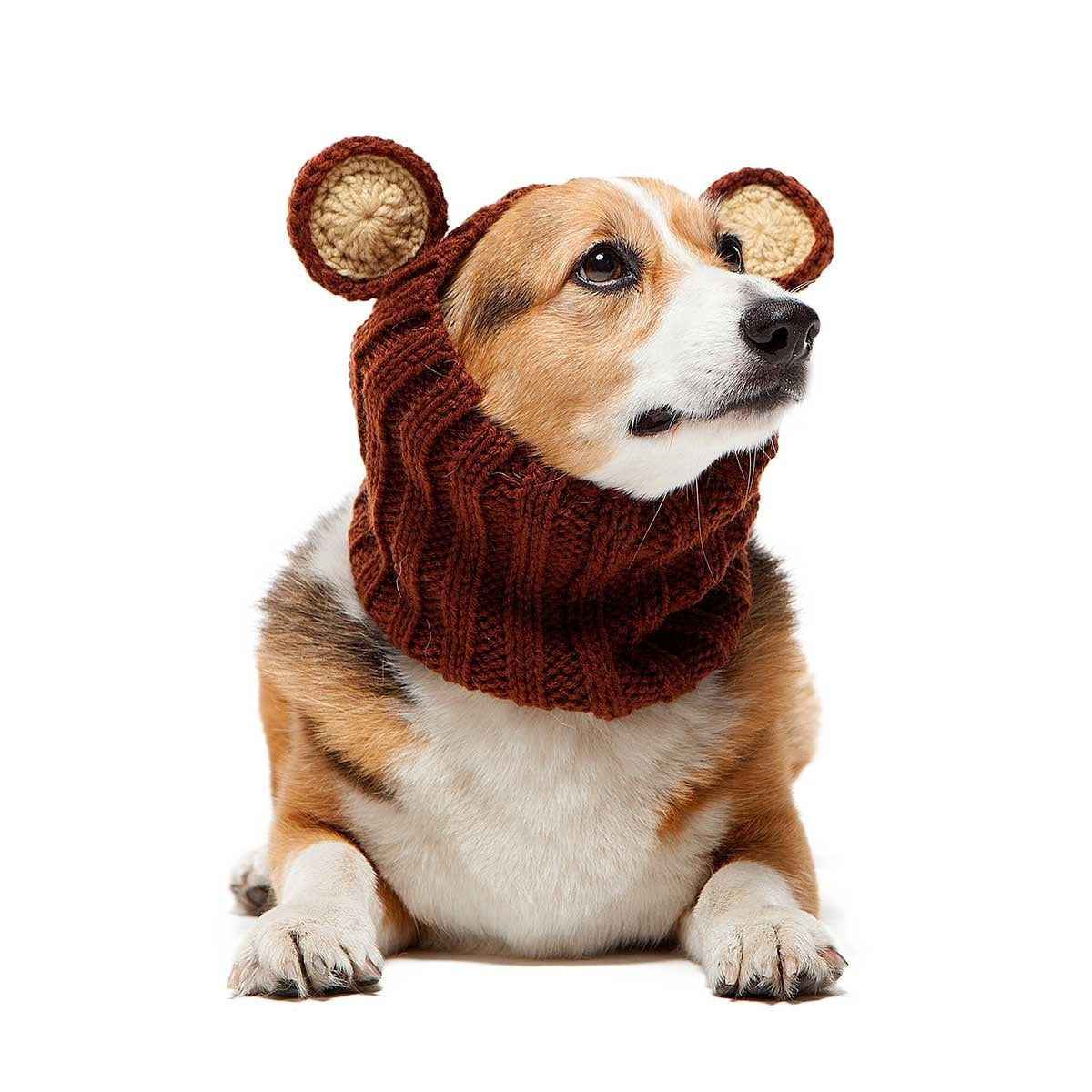 https://www.zoosnoods.com/cdn/shop/products/grizzly-bear-zoo-snood-dog-snood-costume-18532142337.jpg?v=1560376443