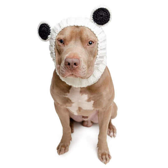 Dog Snoods, Knit Dog Hats, Sweaters & Unique Dog Costumes – Zoo Snoods