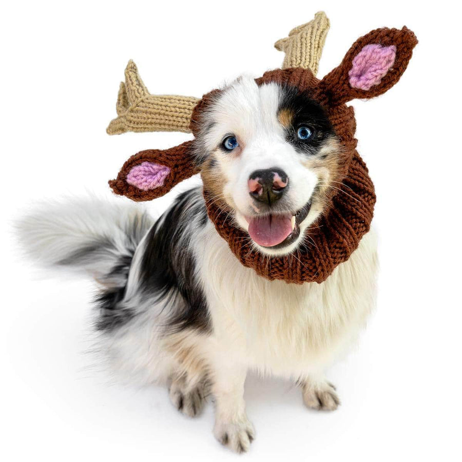 Horse Snood - The Perfect Dog Snood For Small, Medium And Large Dogs ...